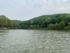 -镇江市南山风景名胜区竹林景区