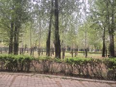 -秦皇岛野生动物园