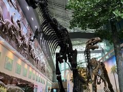 -嘉荫恐龙国家地质公园