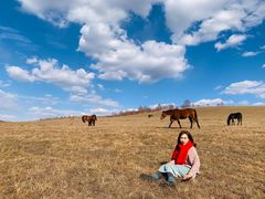 -塞罕坝国家级自然保护区