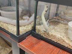 -三旗百汇商品城