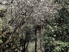 -唐城墙遗址公园