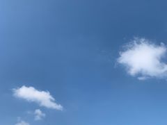 -观潮胜地公园