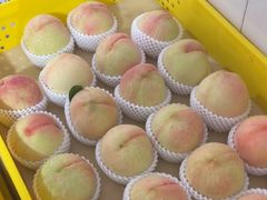 -老袁家蜜桃农场·阳山水蜜桃