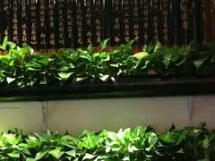 -孙三拨按摩拨筋(五一路店)