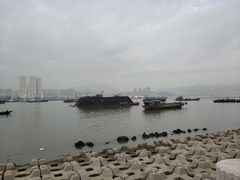 -野狸岛