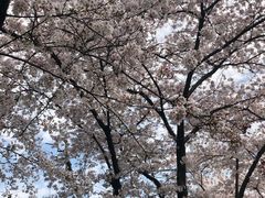 -上海南浦大桥长途旅游客运站
