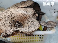 -藏味八珍特色火锅