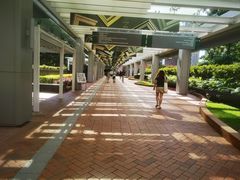 -香港大学