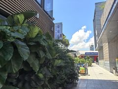 -若蘭慈·无国界素食料理(欢乐海岸店)