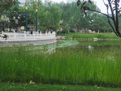 -西海子公园
