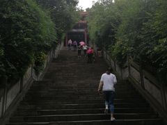 -富乐山
