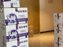 -骆驼日式搬家收纳整理