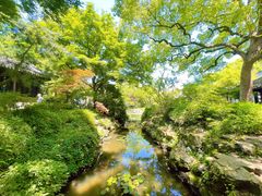-上海醉白池公园