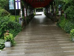 -白马涧龙池景区