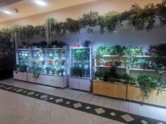 -BHG生活超市(安贞店)