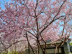 -三里河公园