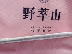 -野萃山·潮汕厚果汁(十亩地店)