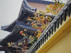 -珠海圆明新园