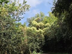 -紫金山天文台