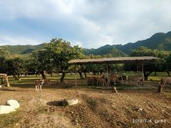 -西安秦岭野生动物园