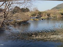 -贵阳市花溪国家城市湿地公园
