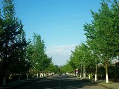 -成都中医药大学(温江校区)