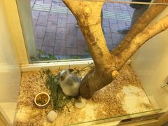 -龙猫仔乐园(惠福东路店)