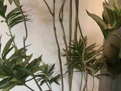 -神帆·元气汤泉(解放西路店)