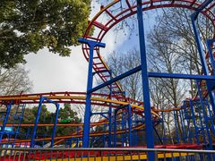 -上海共青森林公园