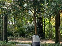 -深圳仙湖植物园