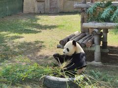 -上海野生动物园