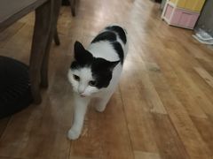 -么么咖啡(燕郊店)