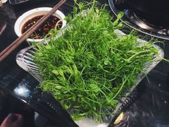 -东椰·海南椰子鸡火锅(朝阳门店)