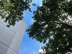 -上海交通大学医学院附属瑞金医院(总院)