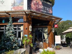 -一棵树·意大利西餐厅One Tree(新城店)