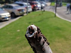 -7-ELEVEn(古美店)