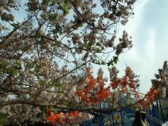 -朝阳公园游乐园