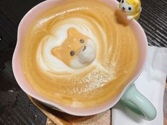 -逗柴咖啡屋·狗咖猫咖宠物桌游
