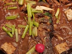 -老板恋上鱼(印象城店)