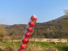 -石塘人家