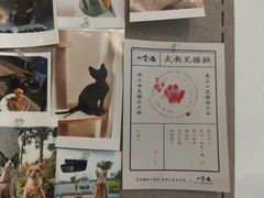 -山宅一喵德文卷毛猫舍