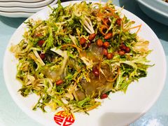 老醋蜇头-添福来墨鱼饺子 · 海鲜东北菜(泡崖店)