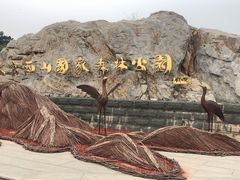 -北京西山国家森林公园