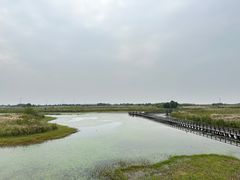 -宁波杭州湾国家湿地公园