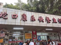 -蛇口康乐快餐鱼仔档(翠苑小区店)