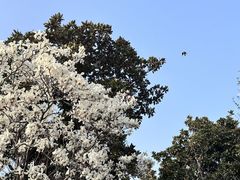 -不晚酒店(苏州观前平江路店)