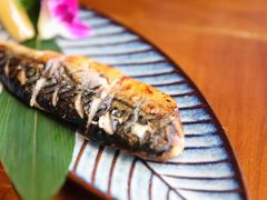 -石葵(锦业时代店)