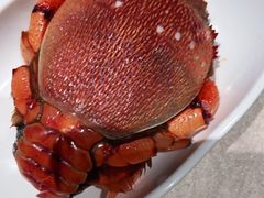 -上宴精品海鲜姿造(晶融汇旗舰店)