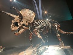-墨尔本博物馆(Melbourne Museum)